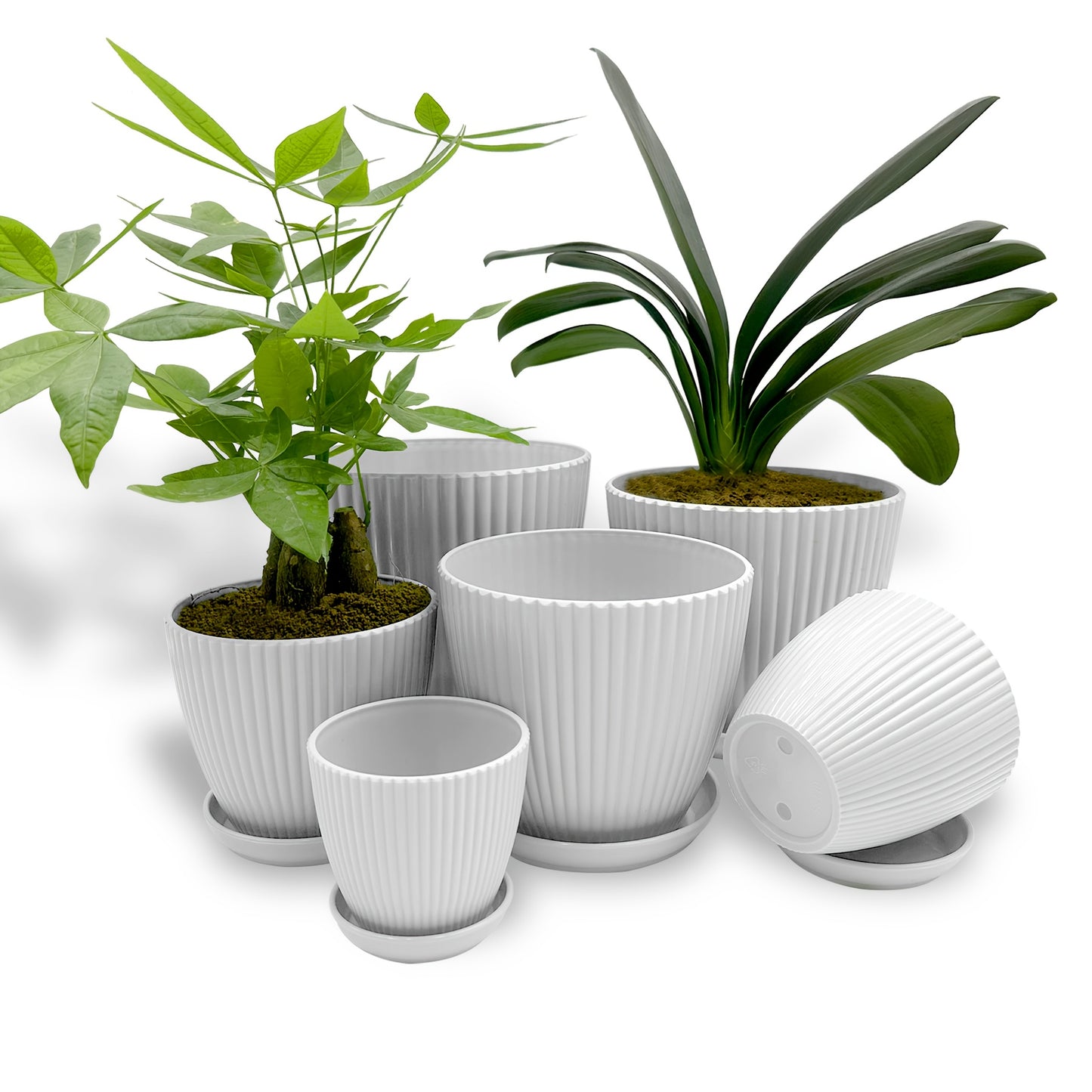 6 Packs, 19.05/16.76/14.73/12.7/10.92/8.89 Cm Flower Pots, Thick Sturdy Plastic Planters, Indoor/Outdoor 6 Sizes Plant Pots With Drainage Holes And Saucers (6 Sizes)