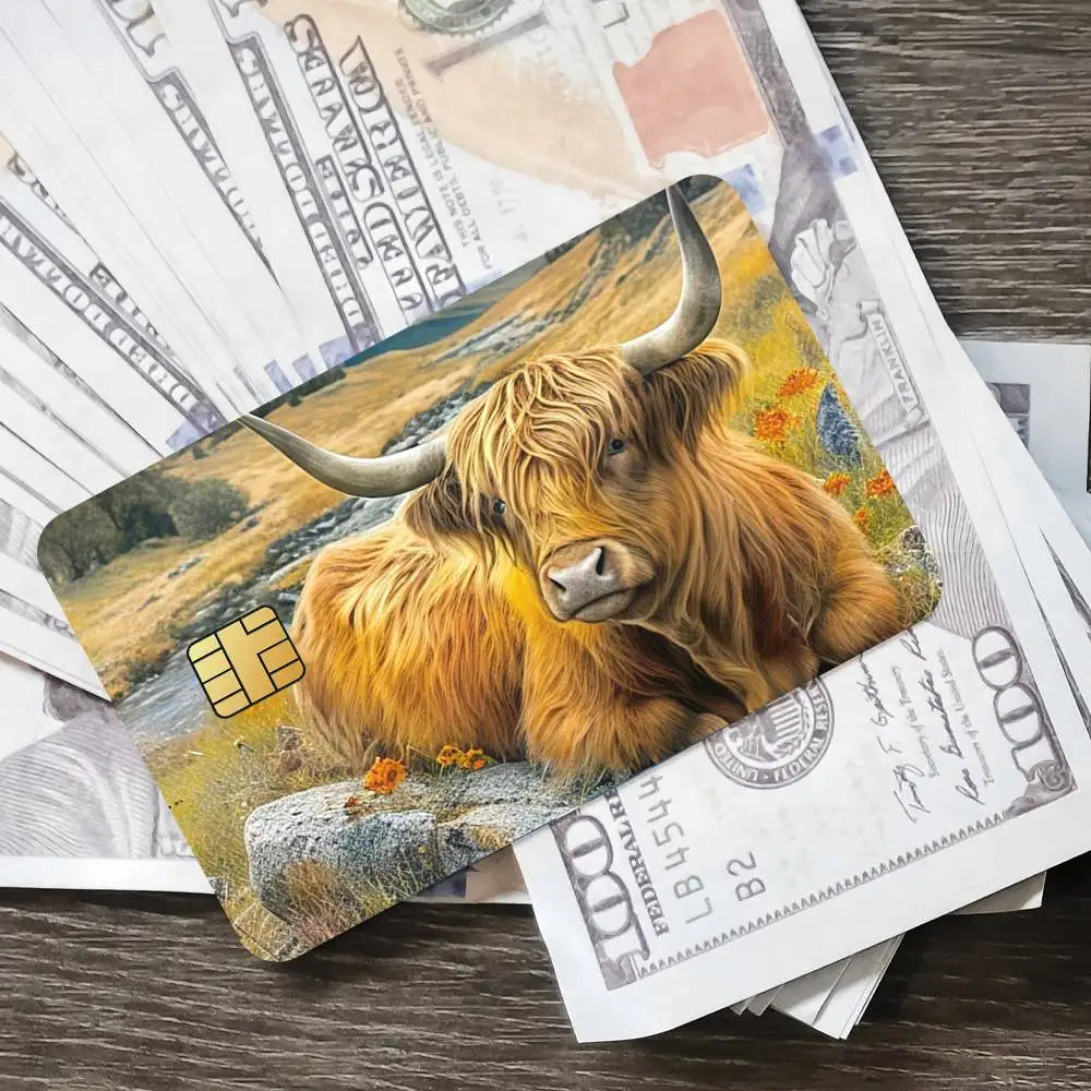 Cute Highland Cow Bank Credit Cards Bus Pass Stickers Cool Decoration Waterproof 4PCS Card