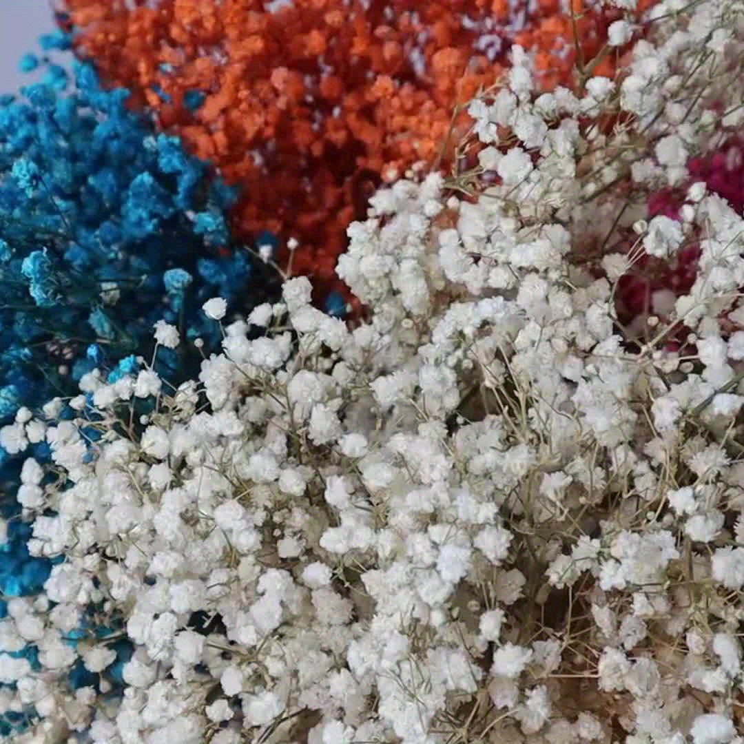 3 Bunches Light Pink Preserved Youngsters's Breath - Long-Lasting Dried Gypsophila for Vase Arrangements, Home Decor, Photo Props & Boho Weddings