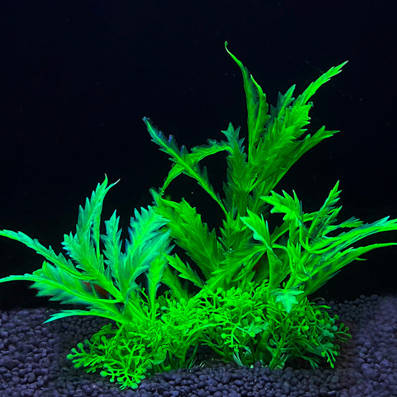 Brighten Up Your Aquarium With Artificial Plants - Fish Tank Plants, Plastic Artificial Plant, And Fish Hides Aquatic Plants