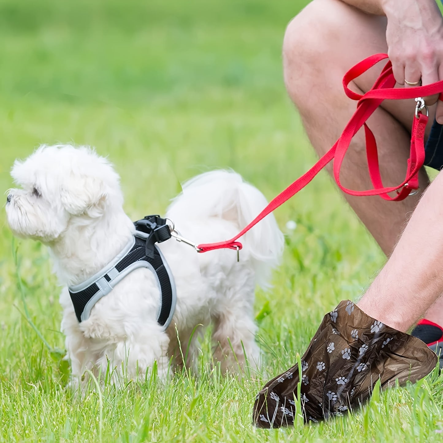 [Dog Poop Bag] 150pcs, Dog Poop Bag, Dog Waste Bags - 10 Rolls