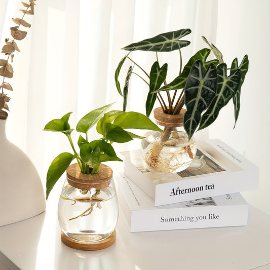Sustainable Hydroponic Glass Vase with Wooden Stopper - Perfect for Office, Living Room Decor, and Well-being