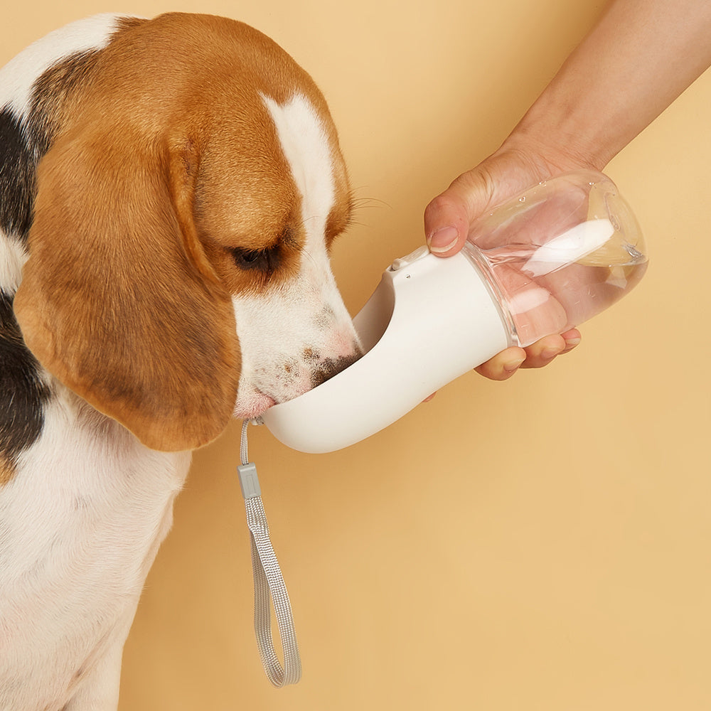 Leak-Proof Pet Water Bottle with Wrist Strap for Dogs and Cats - Perfect for Outdoor Adventures