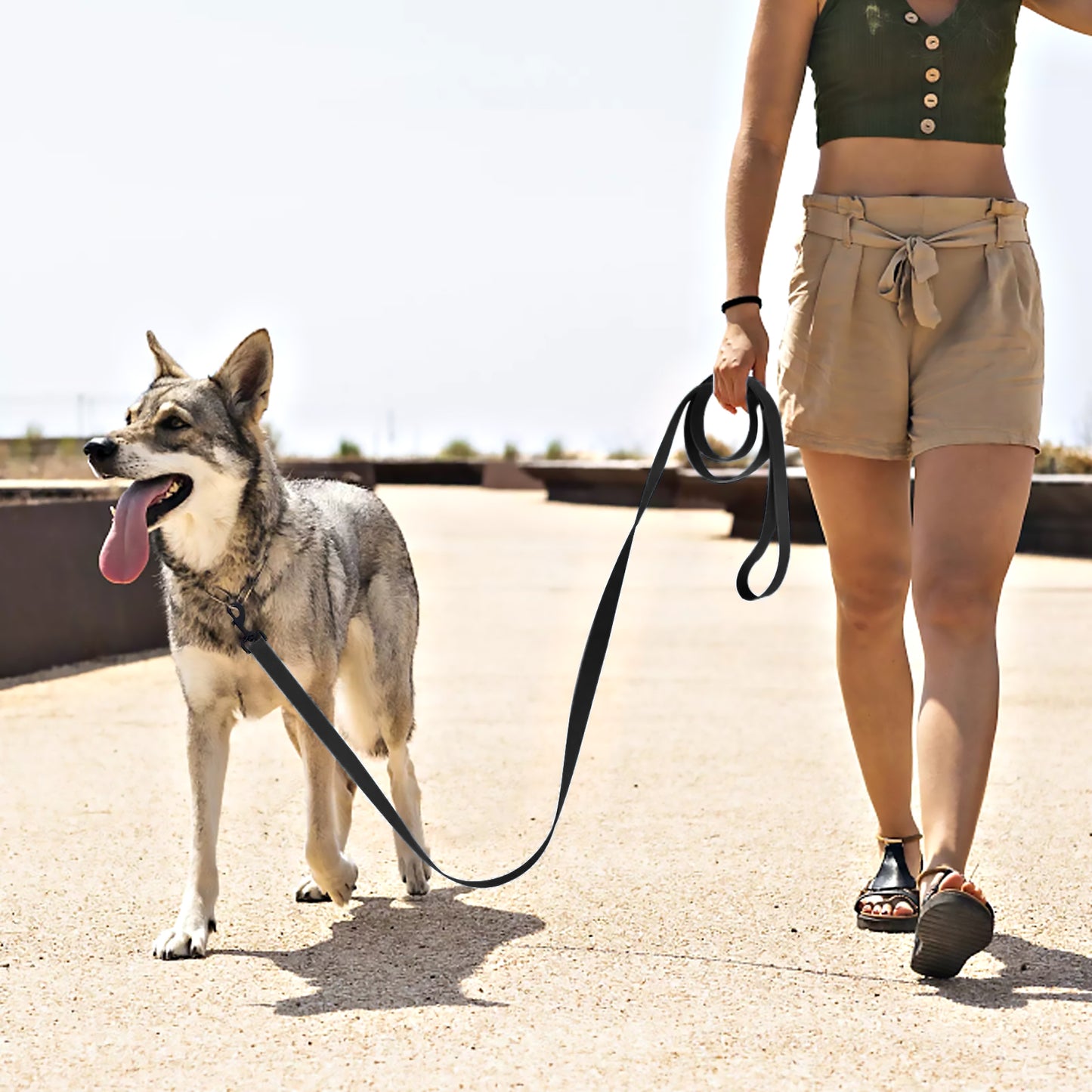 Dog Leash Long PVC Leashes Easy Clean Traction Lead Rope For Small Medium Large Big Dogs Training