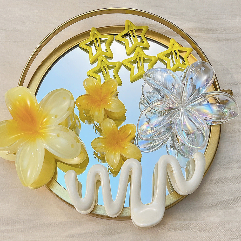 10pcs Flower Hair Clips Set
