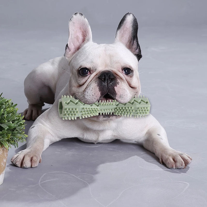 Dog Toothbrush Toy: Soft Rubber Molar Stick For Interactive Cleaning & Chewing!