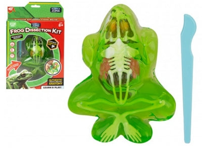 Wizz Toys Frog Animal Dissection Kit 23.9cm