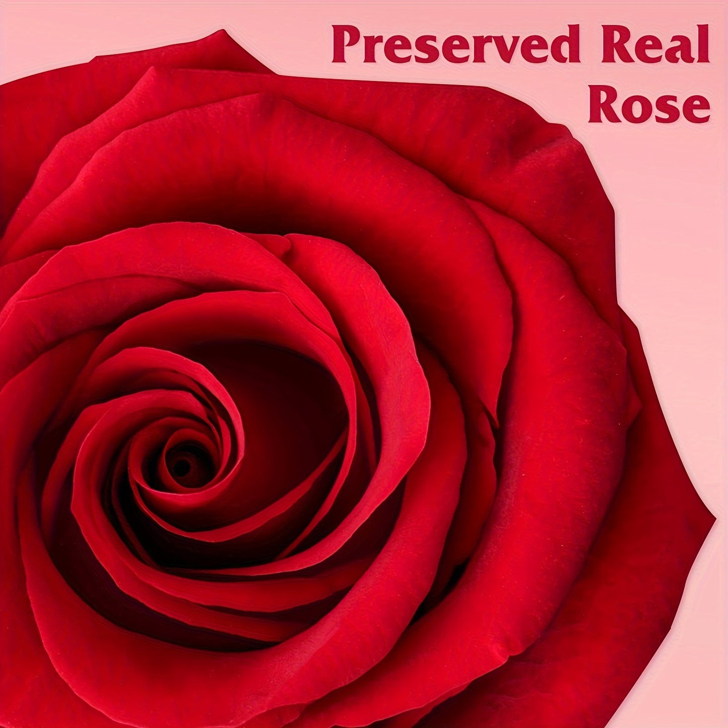 Preserved Rose Gifts for Mom Her Girlfriend Women with I Love You Necklace in 100 Languages, Mothers Day Gifts for Mom from Daughter Son on Birthday Anniversary Christmas