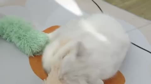 1pc Cat Kicking Toy With Sand Sound For Indoor Cats - Promotes Exercise And Playfulness