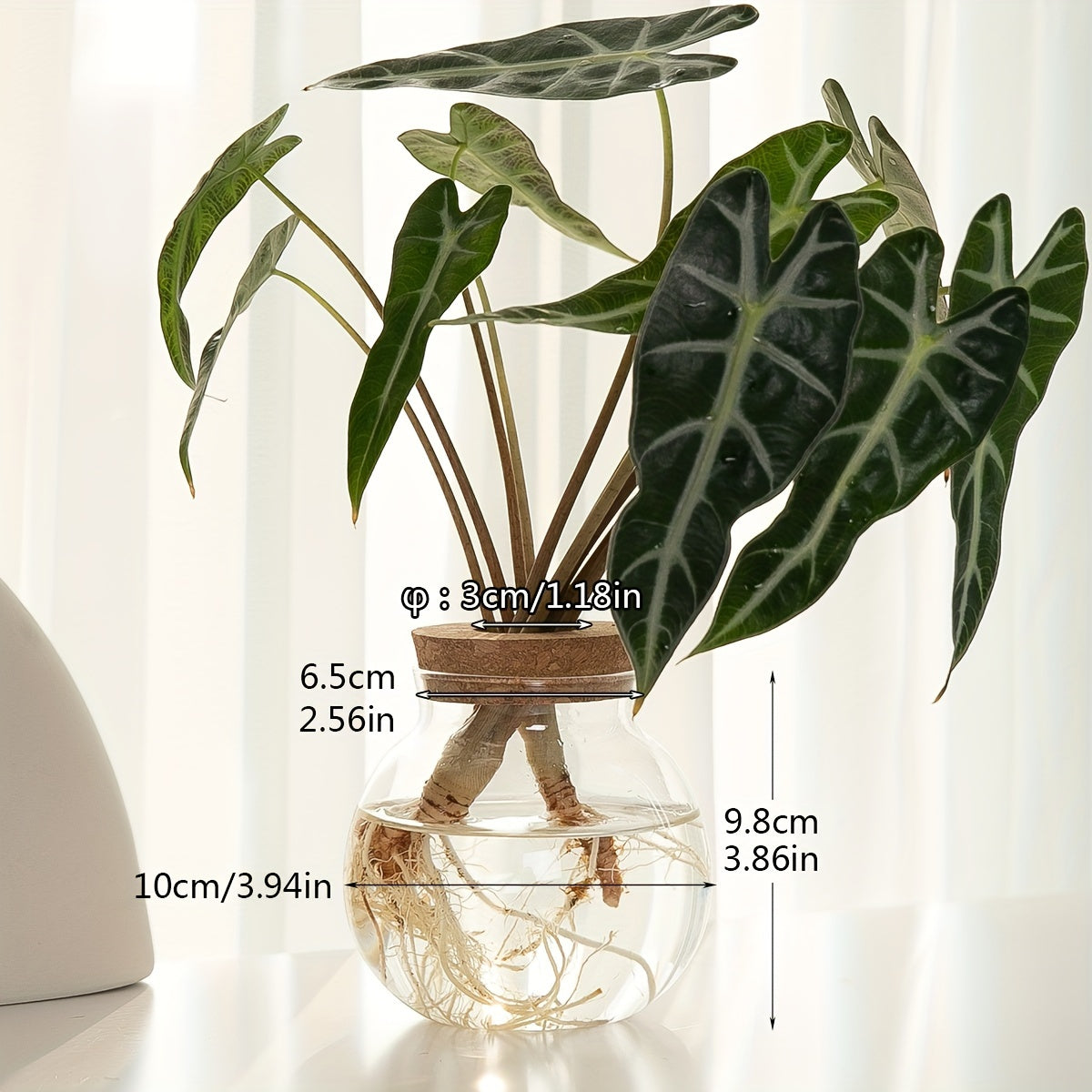 Sustainable Hydroponic Glass Vase with Wooden Stopper - Perfect for Office, Living Room Decor, and Well-being