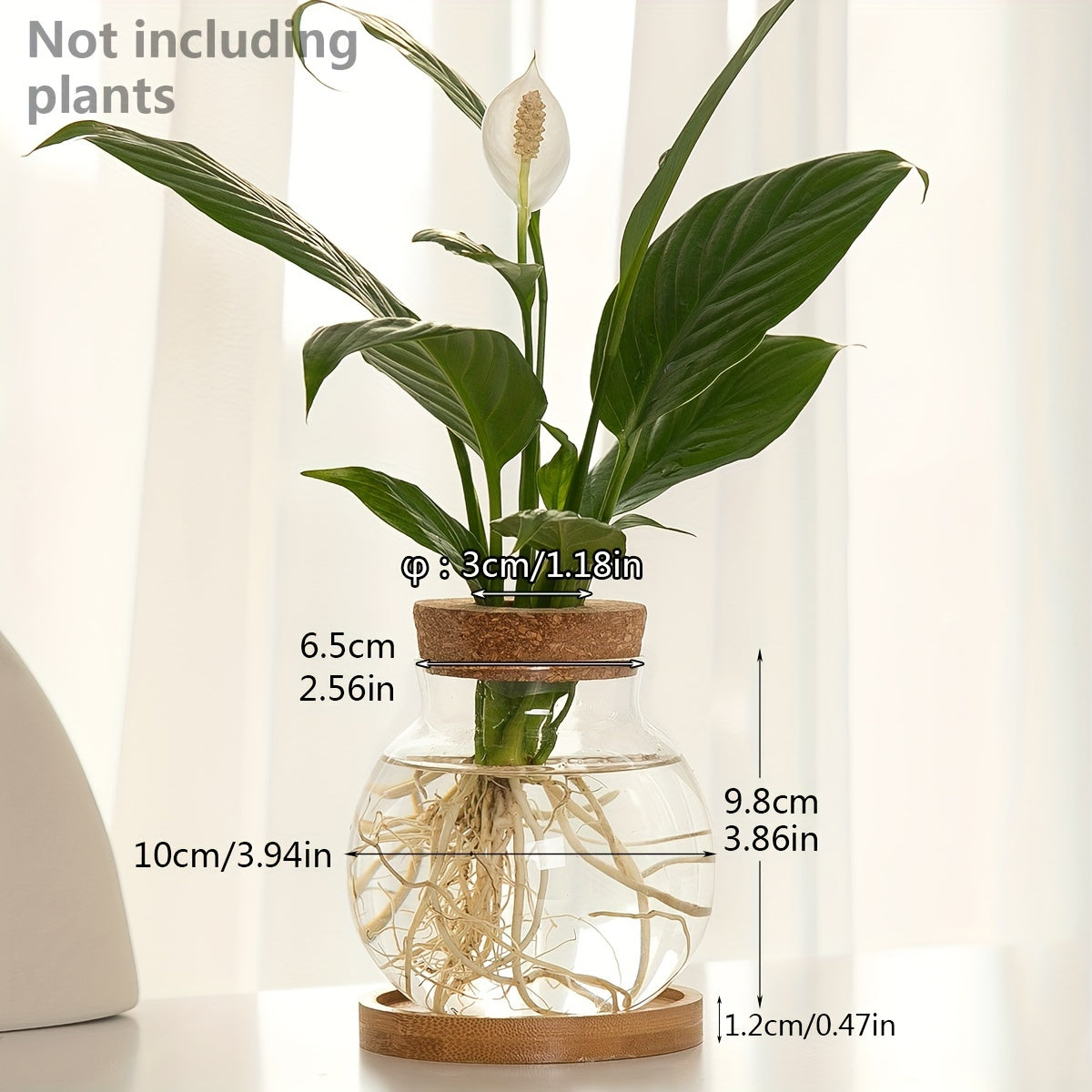 Sustainable Hydroponic Glass Vase with Wooden Stopper - Perfect for Office, Living Room Decor, and Well-being