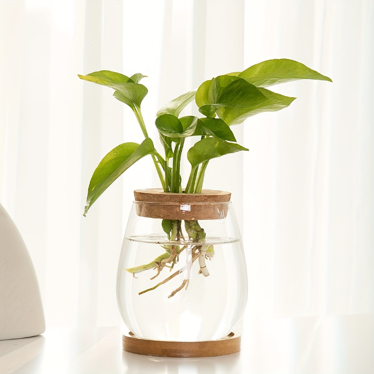 Sustainable Hydroponic Glass Vase with Wooden Stopper - Perfect for Office, Living Room Decor, and Well-being