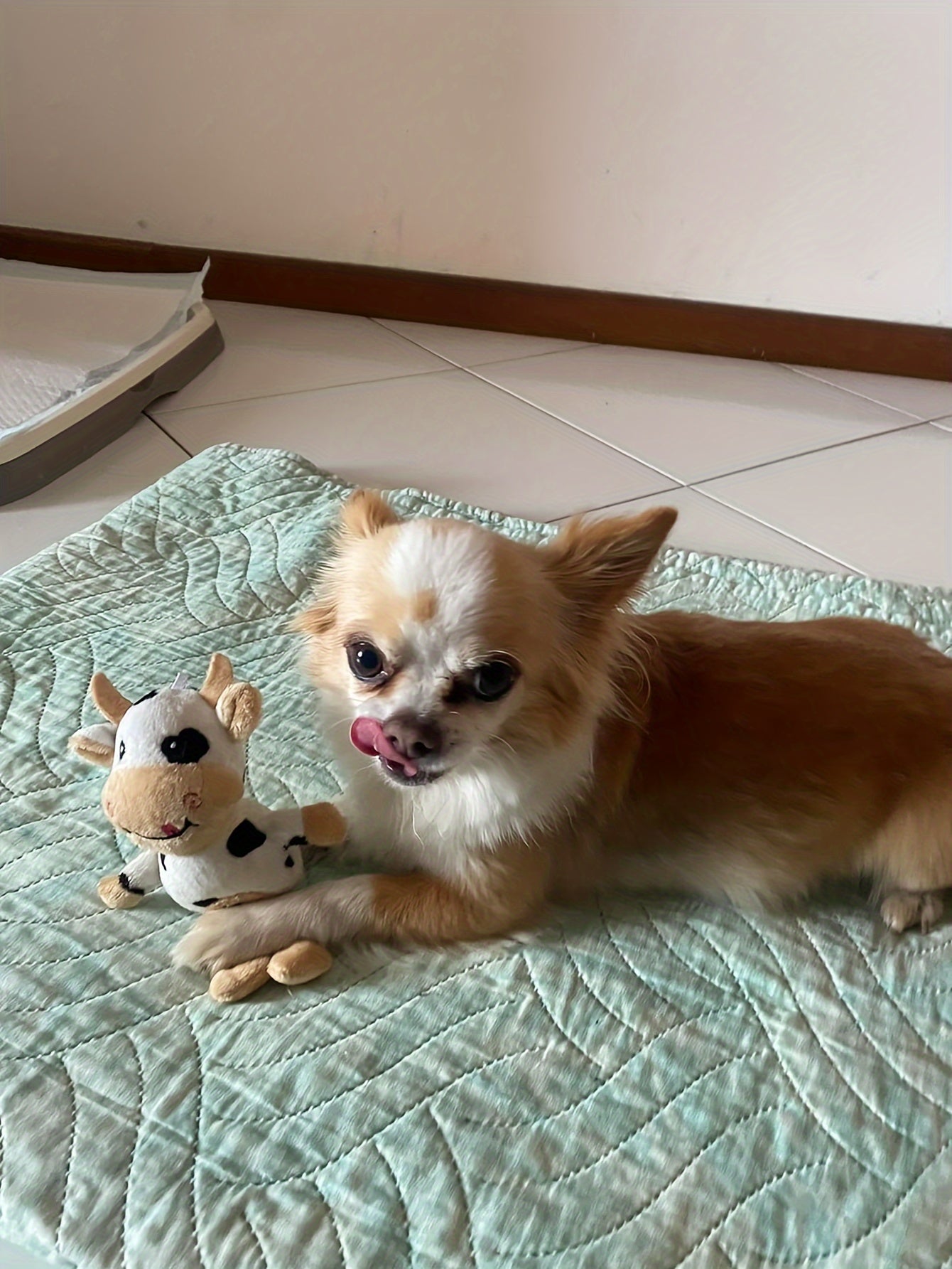 Adorable 1pc Cow Plush Toy - Perfect Chew Toy for Dogs and Cats!