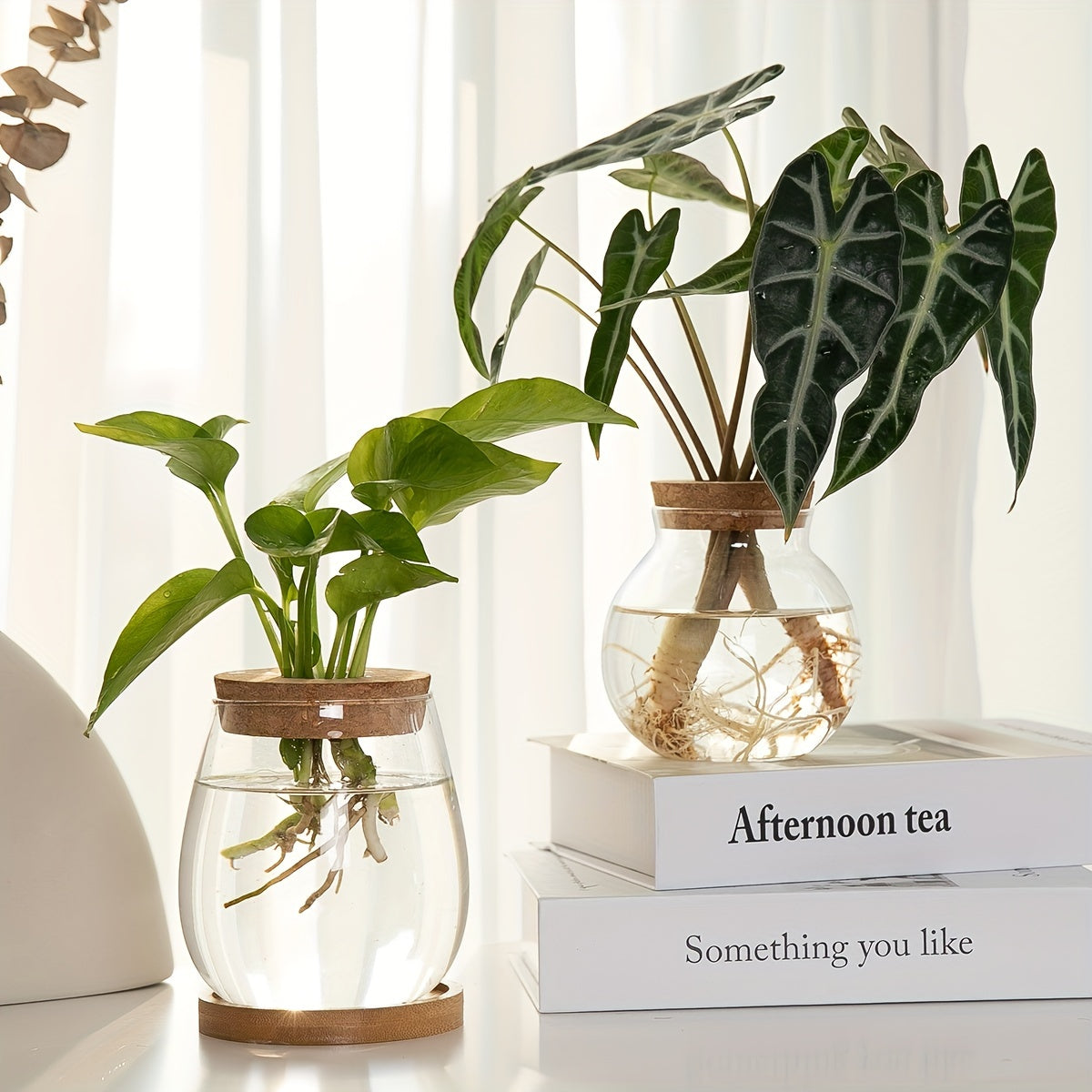 Sustainable Hydroponic Glass Vase with Wooden Stopper - Perfect for Office, Living Room Decor, and Well-being