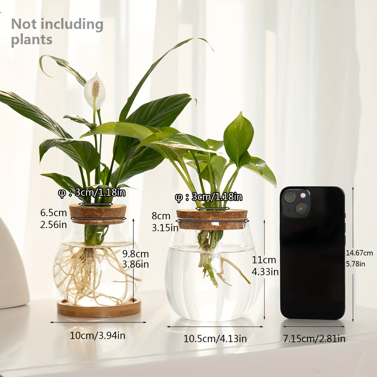 Sustainable Hydroponic Glass Vase with Wooden Stopper - Perfect for Office, Living Room Decor, and Well-being