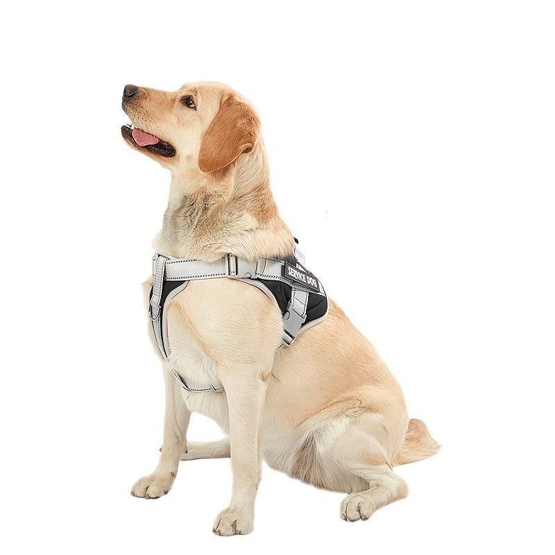 Pet Leash, Pet Harness, Dog Leash, Dog Chain, Dog Lead