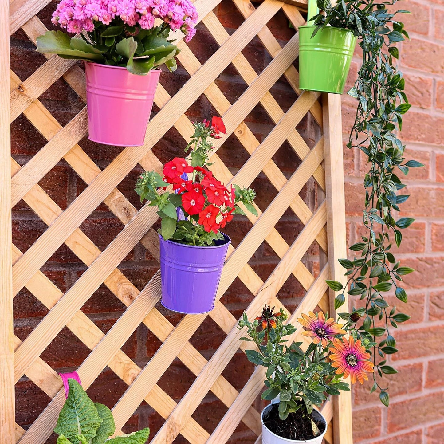 Hanging Plant Pots Large Metal Flower Pot Vase Bucket Fence Hanging Garden Planter With Drainage Hole For Balcony Home Decor (10pcs with Assorted 10 Colours)