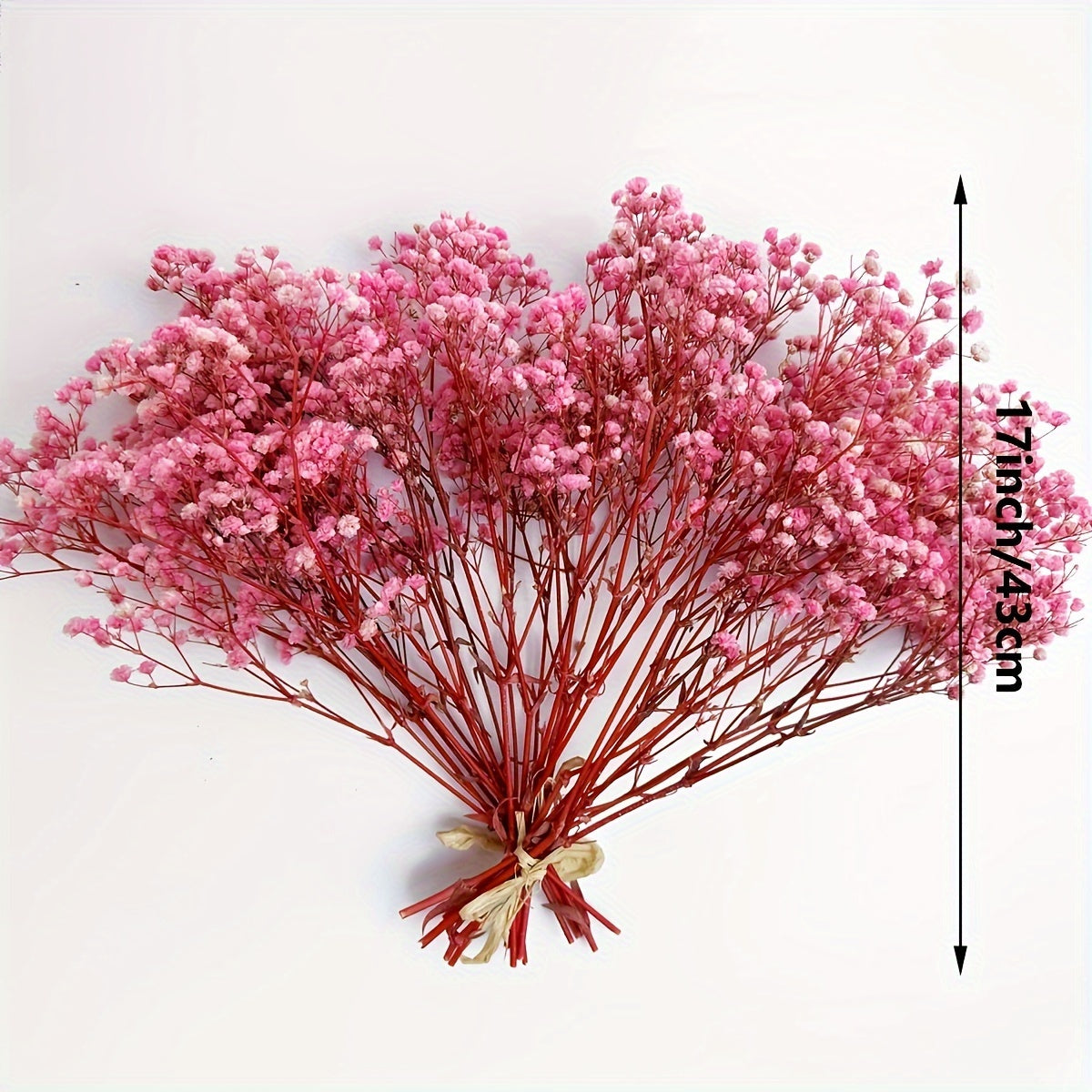 3 Bunches Light Pink Preserved Youngsters's Breath - Long-Lasting Dried Gypsophila for Vase Arrangements, Home Decor, Photo Props & Boho Weddings