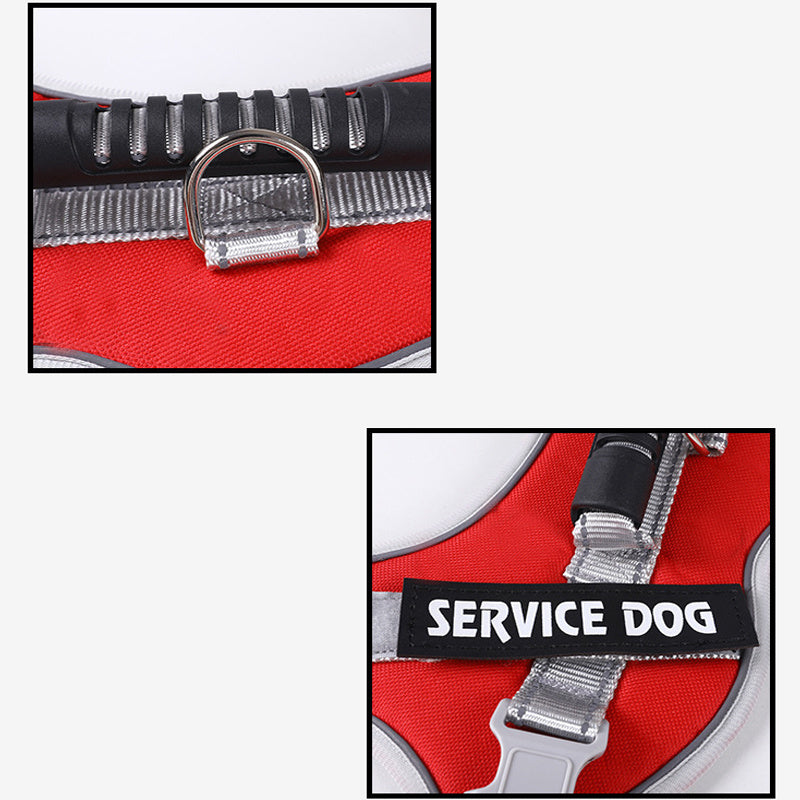 Pet Leash, Pet Harness, Dog Leash, Dog Chain, Dog Lead