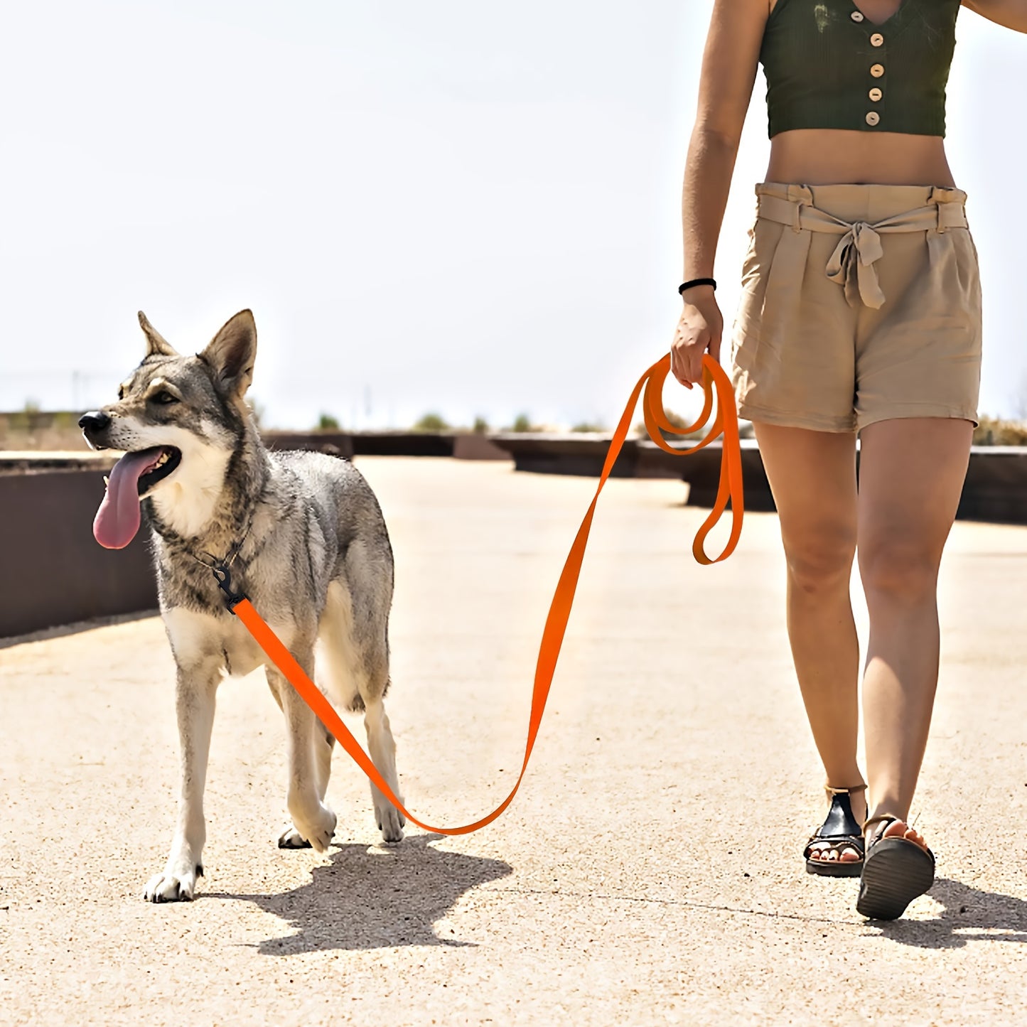 Dog Leash Long PVC Leashes Easy Clean Traction Lead Rope For Small Medium Large Big Dogs Training