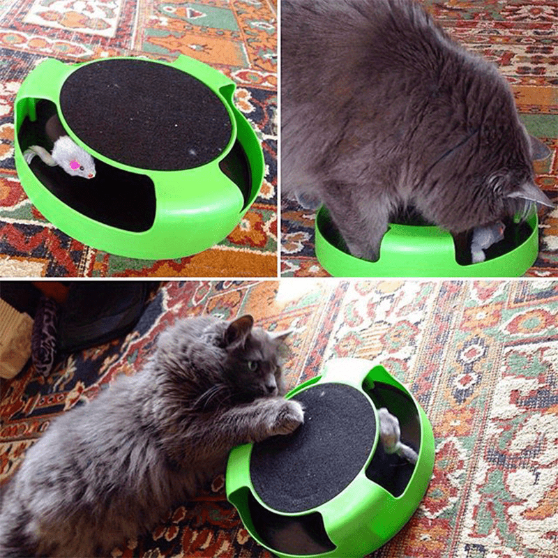 Keep Your Cat Entertained for Hours with this Interactive Turntable & Scratch Board Toy!