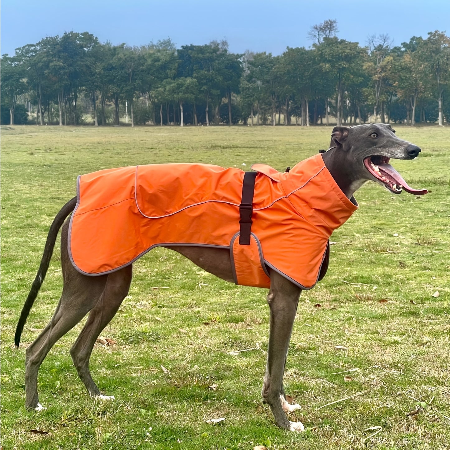 Military-Style Warm Jacket for Dogs