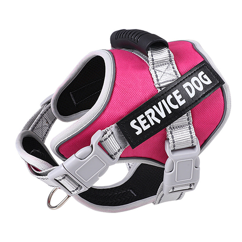 Pet Leash, Pet Harness, Dog Leash, Dog Chain, Dog Lead