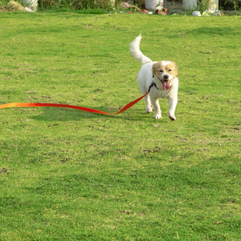 Dog Leash Long PVC Leashes Easy Clean Traction Lead Rope For Small Medium Large Big Dogs Training