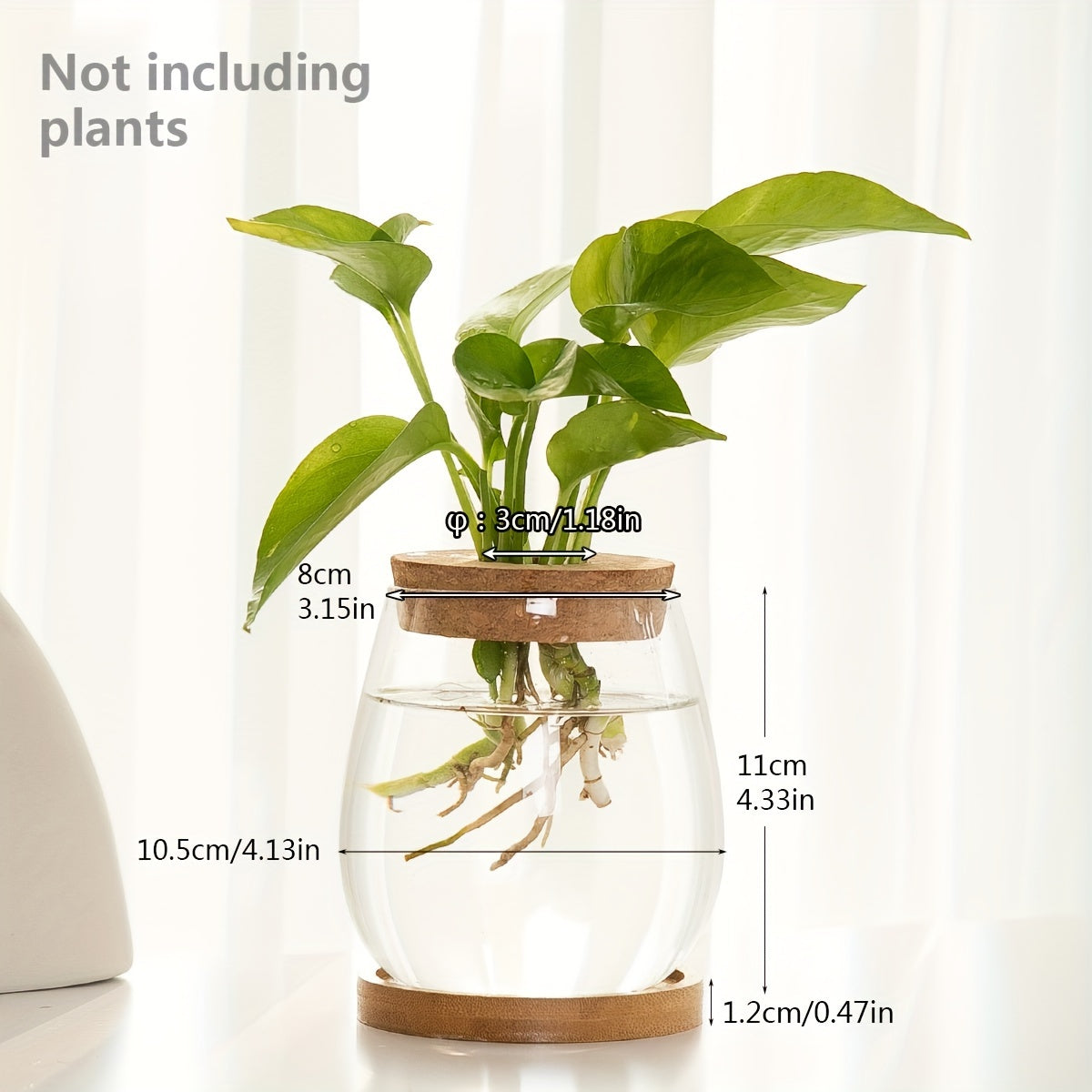 Sustainable Hydroponic Glass Vase with Wooden Stopper - Perfect for Office, Living Room Decor, and Well-being