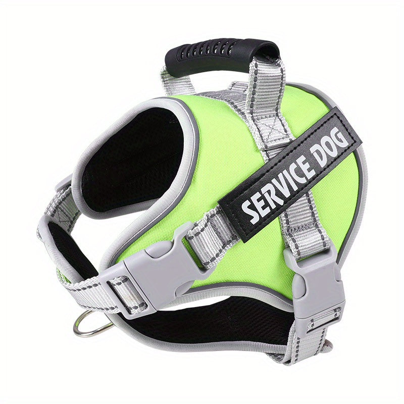 Pet Leash, Pet Harness, Dog Leash, Dog Chain, Dog Lead