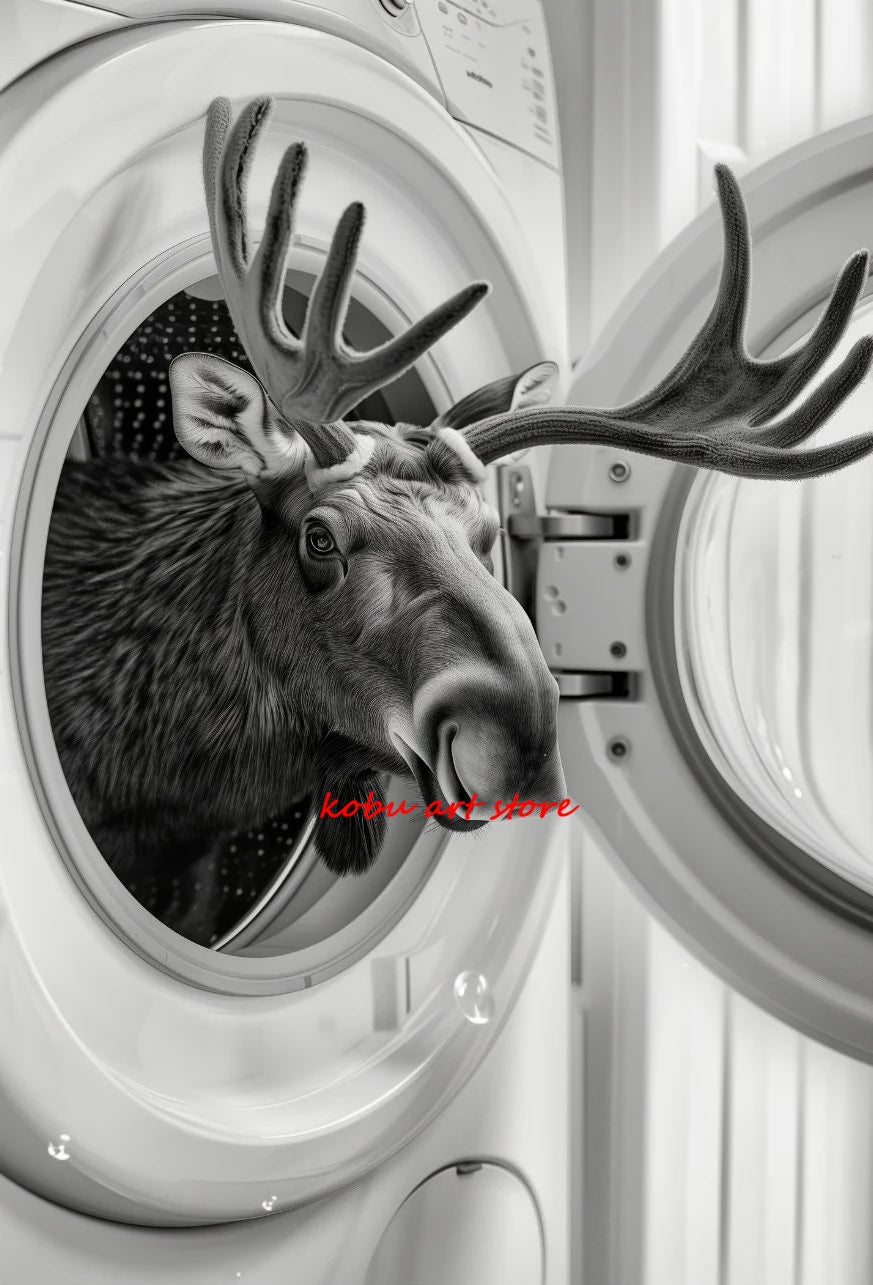 Bear Highland Cow Giraffe Animal in Washing Machine Poster Canvas Printing Wall Art Picture Fun Laundry Room Utility Room Decor