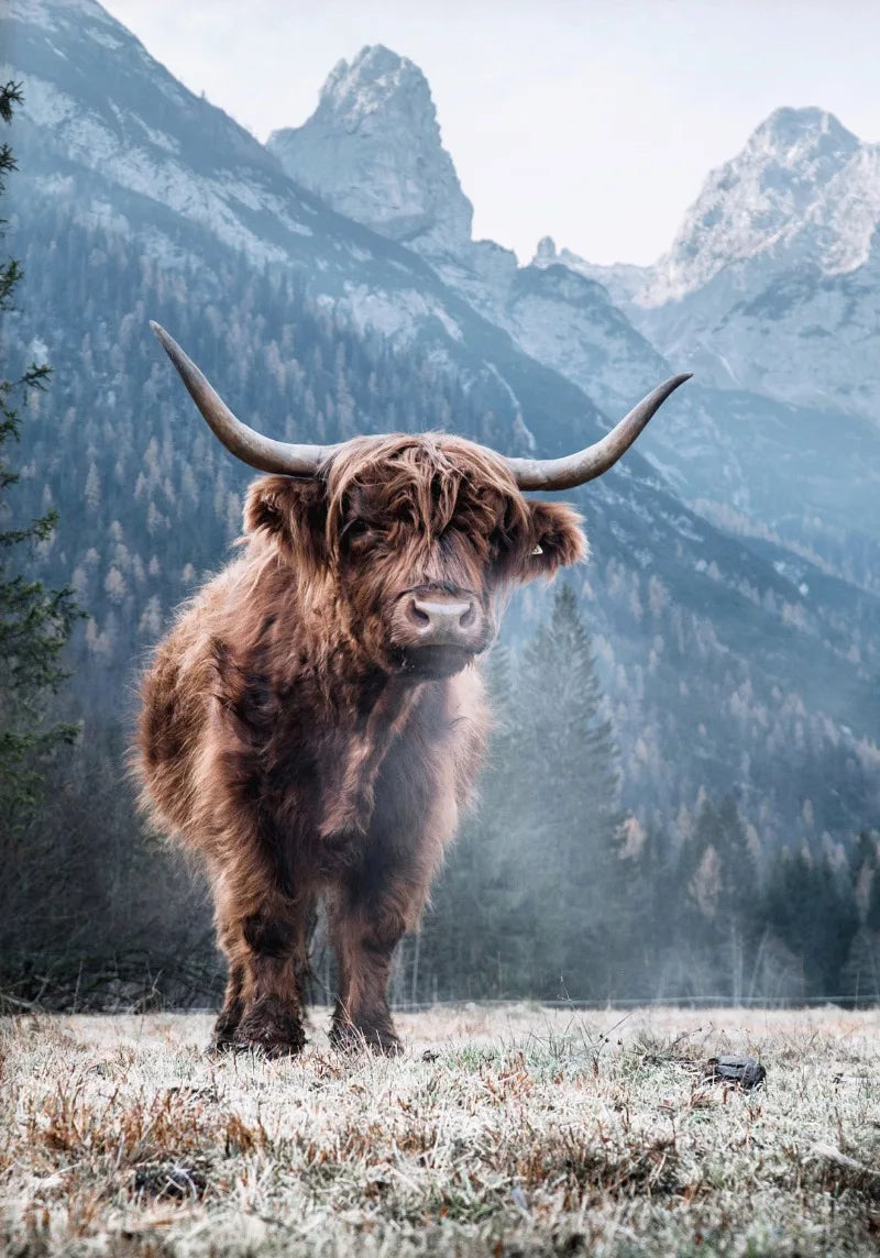 Nature Highland Cow Deer Wood Log Pile Horse Lake Photography Canvas Painting Print Landscape Poster for Living Room Home Decor