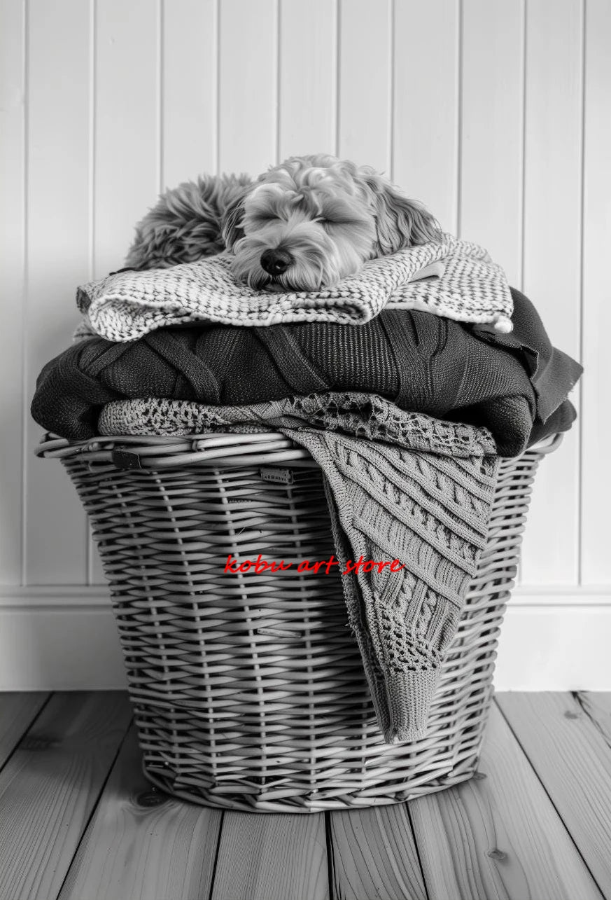 Bear Highland Cow Giraffe Animal in Washing Machine Poster Canvas Printing Wall Art Picture Fun Laundry Room Utility Room Decor