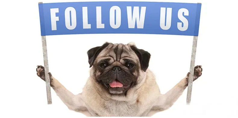 Cute Small Dog Squeaky Toys for Small Dogs Puppy Bear Shaped Squeak Toy for Cat Dogs Pet Supplies Pomeranian Teddy Shih Tzu Pug