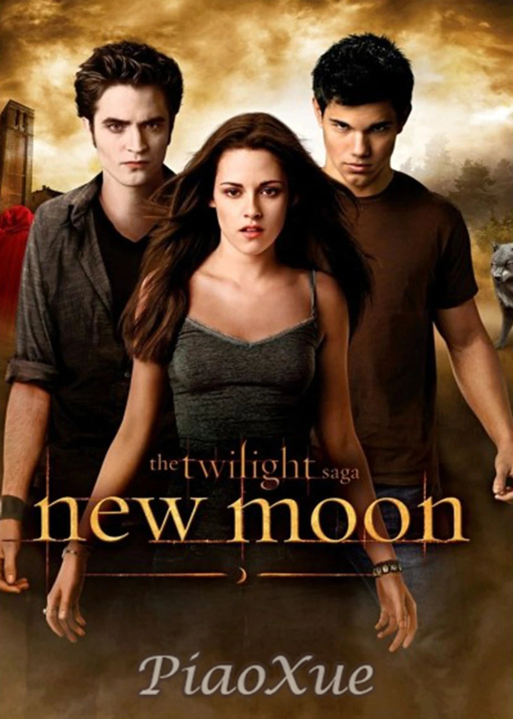 5D DIY  Diamond Painting  Twilight Movie Poster TV  Drama Cross Stitch Kit Embroidery Mosaic Home Decor Art diamond art painting