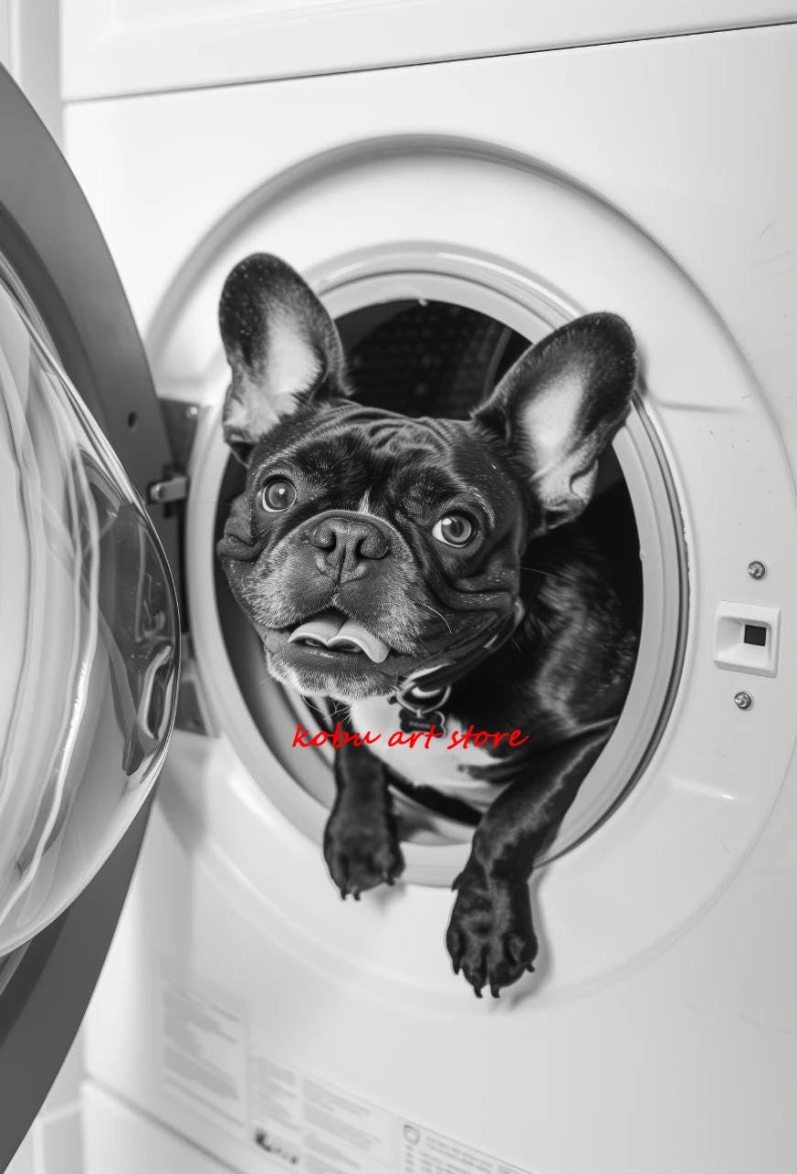 Bear Highland Cow Giraffe Animal in Washing Machine Poster Canvas Printing Wall Art Picture Fun Laundry Room Utility Room Decor