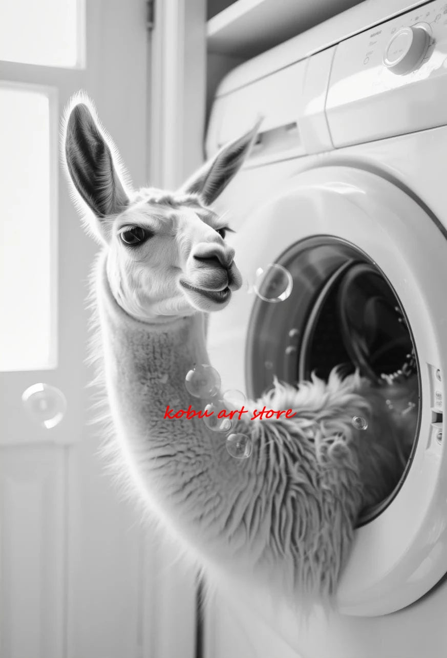 Bear Highland Cow Giraffe Animal in Washing Machine Poster Canvas Printing Wall Art Picture Fun Laundry Room Utility Room Decor