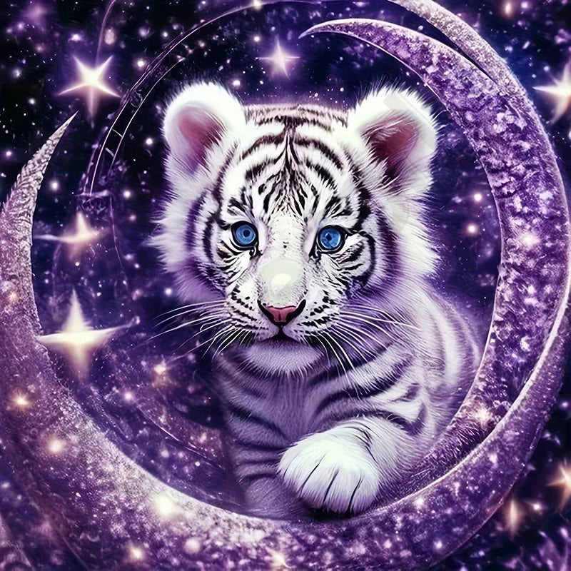 5D Diy Diamond Paintings Kits New 2025 Accessories 30x30 cm Wall Art Diamond Art Painting Kits Embroidery Full Crystal Mosaic