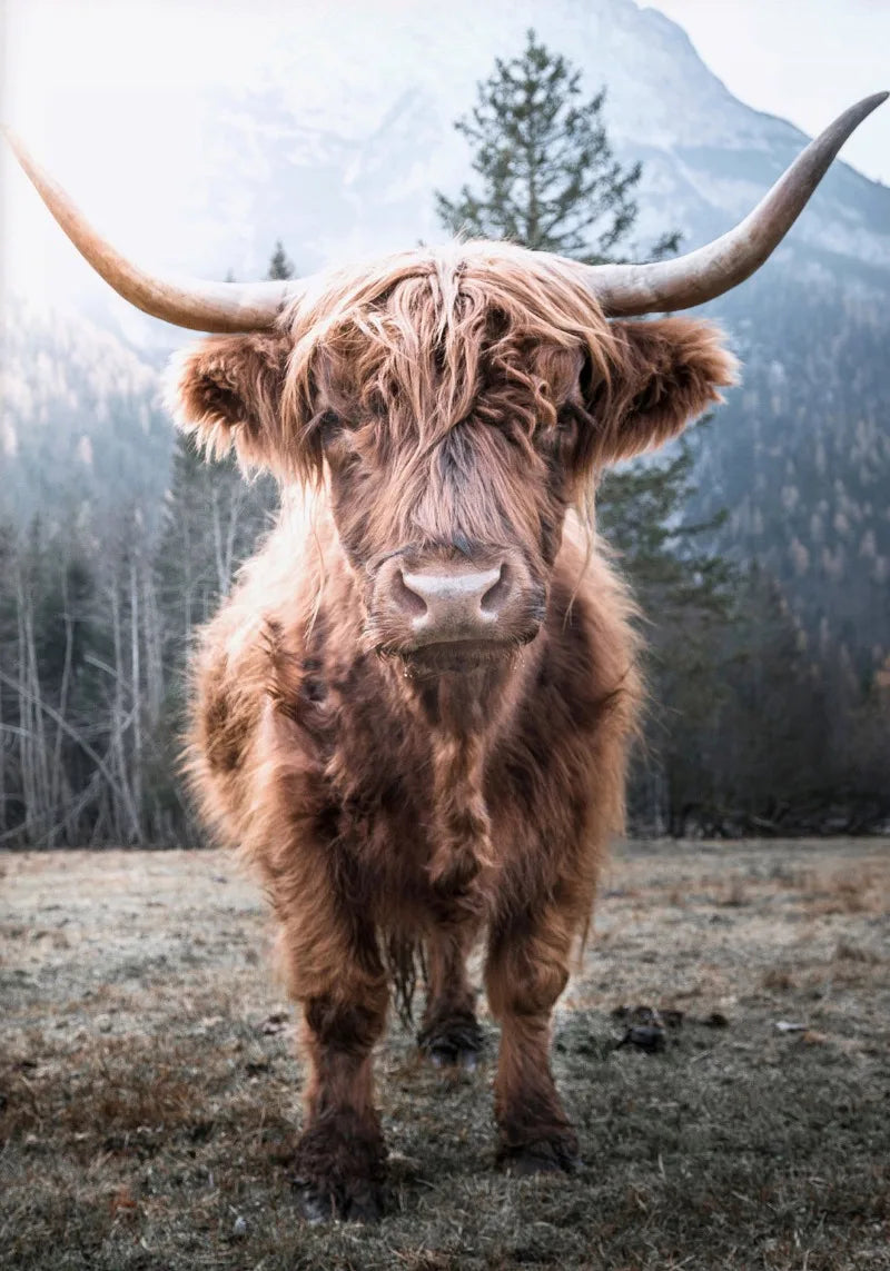 Nature Highland Cow Deer Wood Log Pile Horse Lake Photography Canvas Painting Print Landscape Poster for Living Room Home Decor