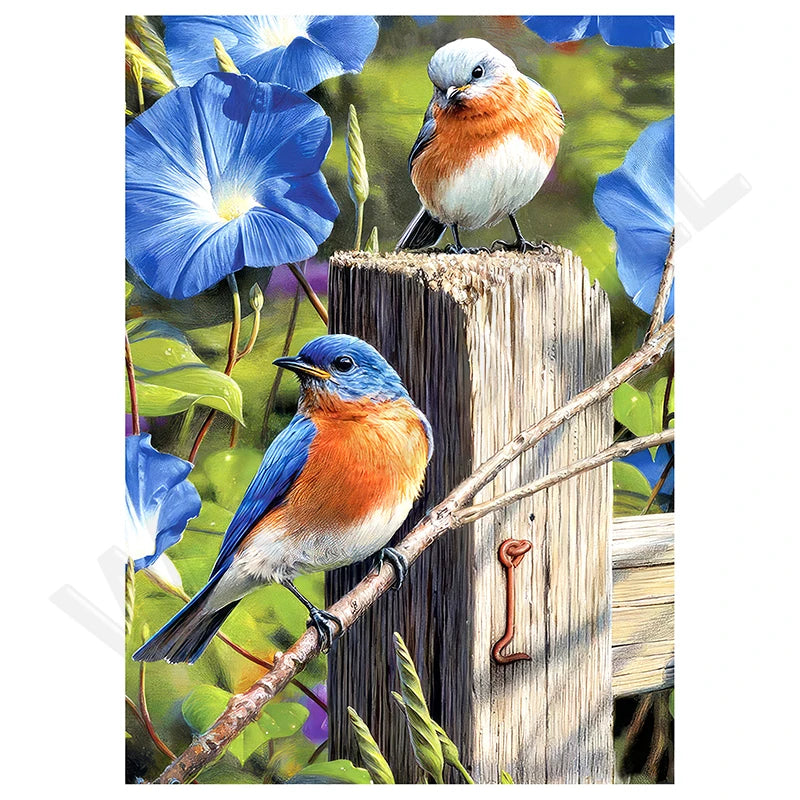 New 5D Diy Diamond Paintings 30x40 cm Mosaic Wall Diamond Art Painting Kits Embroidery Full Crystal Accessories New 2025 Paint