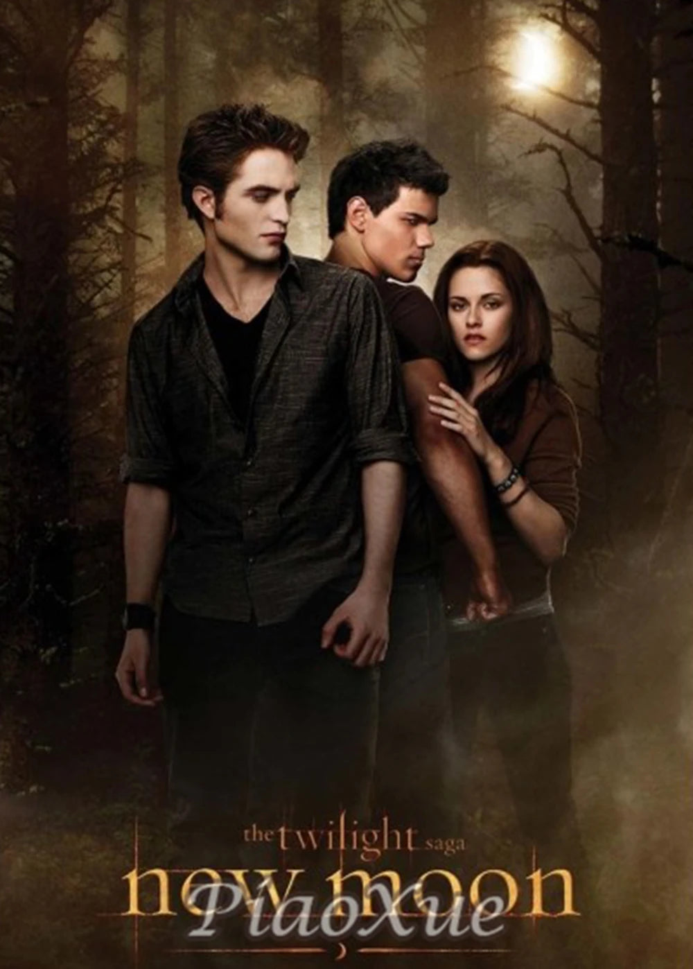 5D DIY  Diamond Painting  Twilight Movie Poster TV  Drama Cross Stitch Kit Embroidery Mosaic Home Decor Art diamond art painting