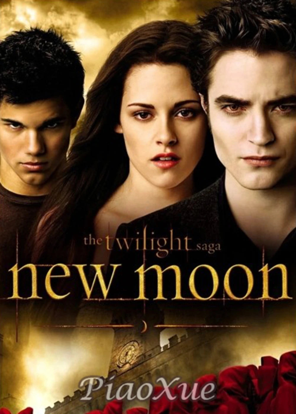 5D DIY  Diamond Painting  Twilight Movie Poster TV  Drama Cross Stitch Kit Embroidery Mosaic Home Decor Art diamond art painting