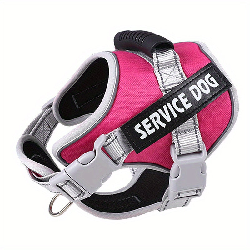 Pet Leash, Pet Harness, Dog Leash, Dog Chain, Dog Lead