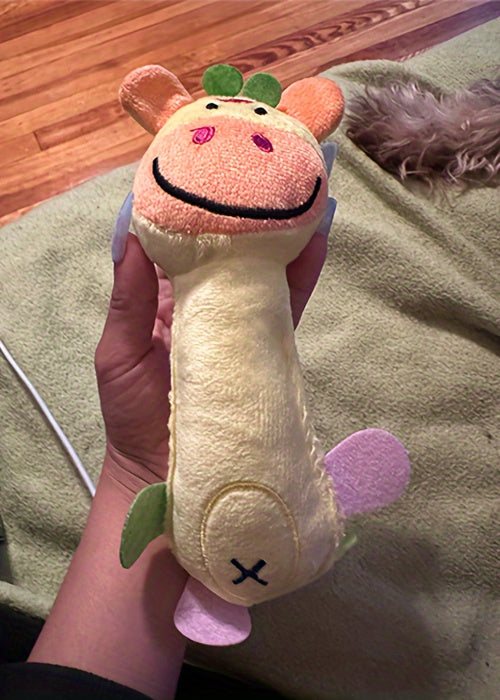 1pc Durable Squeaky Plush Toy for Dogs - Perfect for Grinding Teeth and Interactive Play with Animal Design