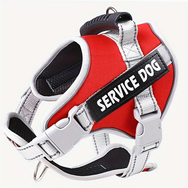 Pet Leash, Pet Harness, Dog Leash, Dog Chain, Dog Lead
