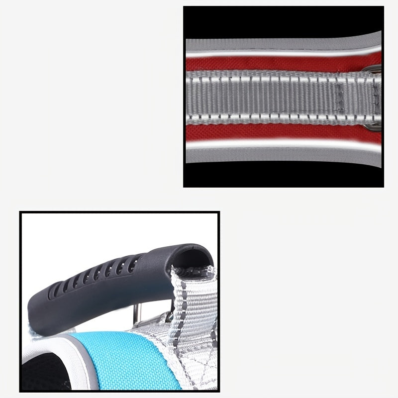 Pet Leash, Pet Harness, Dog Leash, Dog Chain, Dog Lead