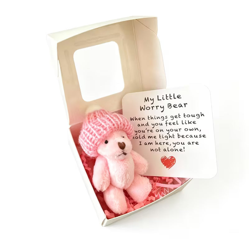Mini Worry Bear Pocket Hug Gift Set
