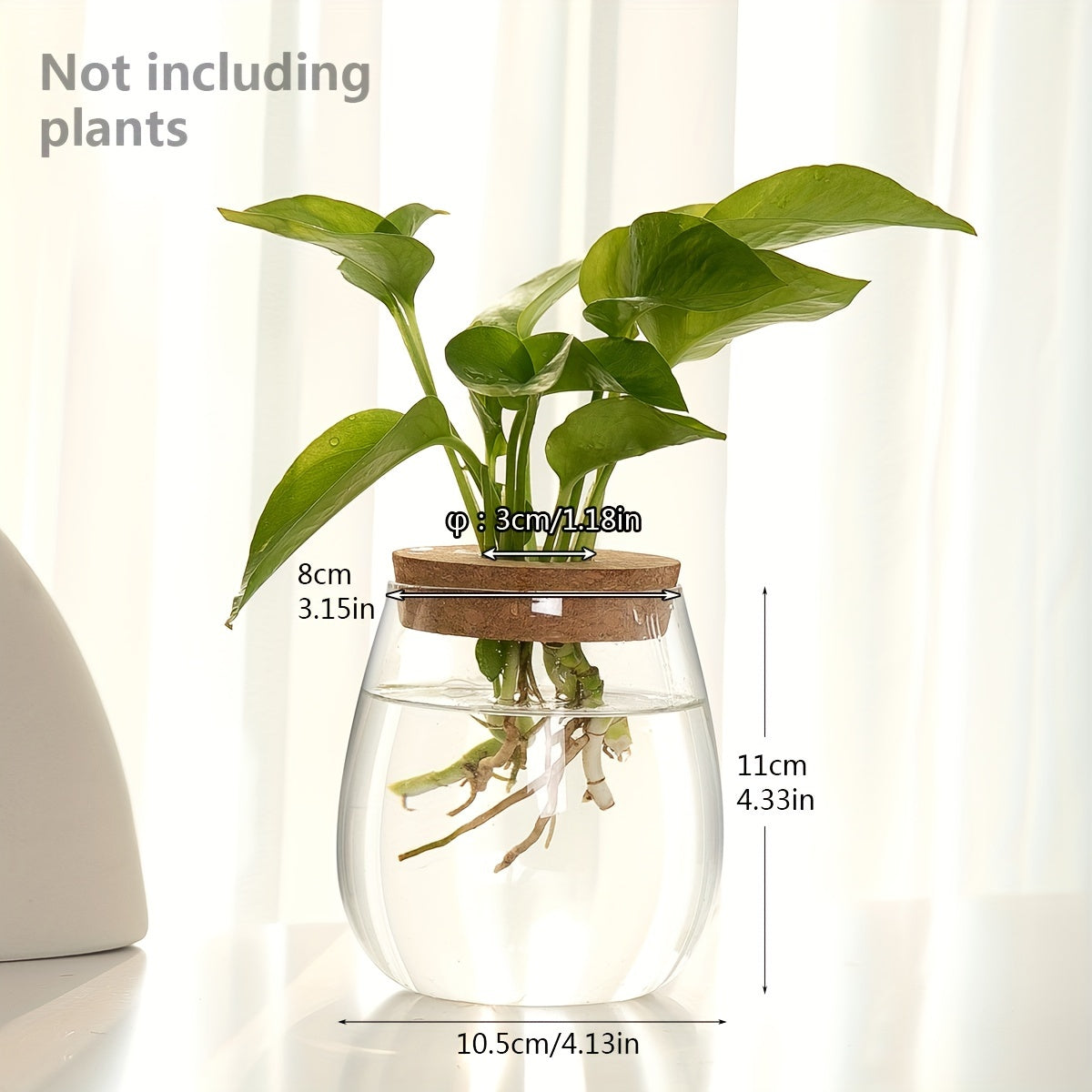 Sustainable Hydroponic Glass Vase with Wooden Stopper - Perfect for Office, Living Room Decor, and Well-being