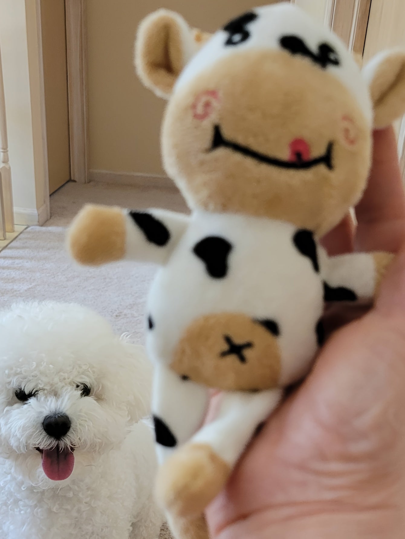 Adorable 1pc Cow Plush Toy - Perfect Chew Toy for Dogs and Cats!