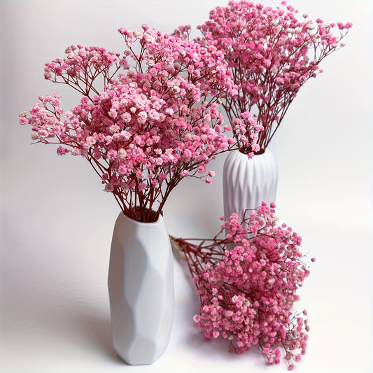 3 Bunches Light Pink Preserved Youngsters's Breath - Long-Lasting Dried Gypsophila for Vase Arrangements, Home Decor, Photo Props & Boho Weddings